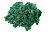 Silky Fibrous Malachite Cluster - Congo #138637-1